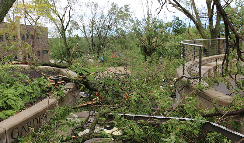 A pile of branches from fallen trees on campus